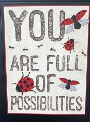 The best poster! You are full of possibilities! Ladybugs ARE MY FAVORITE