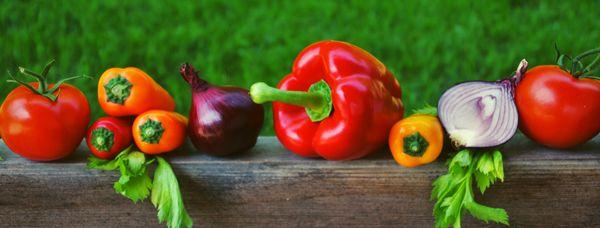 Blue Temple Nutrition