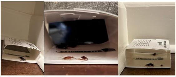 Palmer Square Management