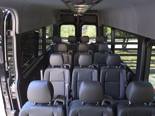 Limousine Bodyguard Service