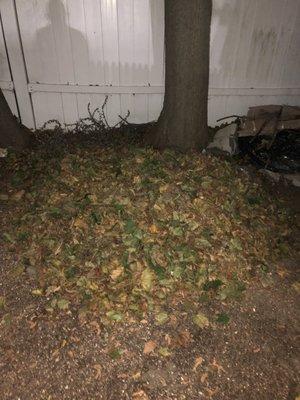 Trash and Scrap Clean Out Service