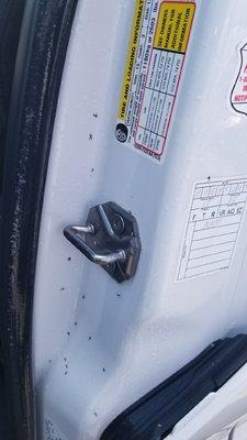 A 15 PASSENGER VAN INFESTED WITH ANTS FROM BUDGET THAT NO ONE DID ANYTHING ABOUT