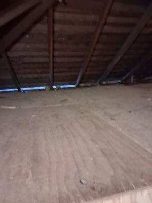 The Cleanup Collective