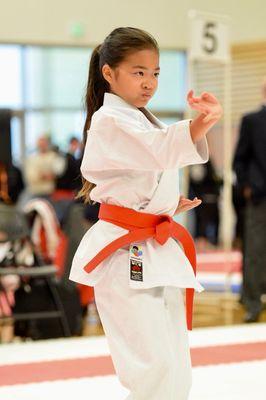 Bushido Kai Karate-do