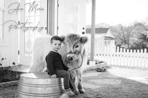 Ana Marie Photography