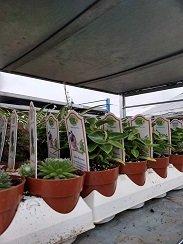 Baggott Family Farms