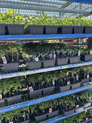 Randazzo Fresh Market