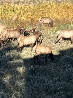 Mary's Lake Aspen Home