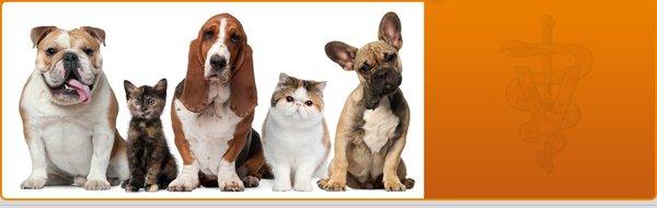 Companion Animal Hospital