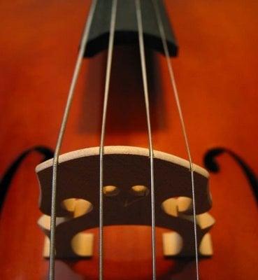 Charleston Music School