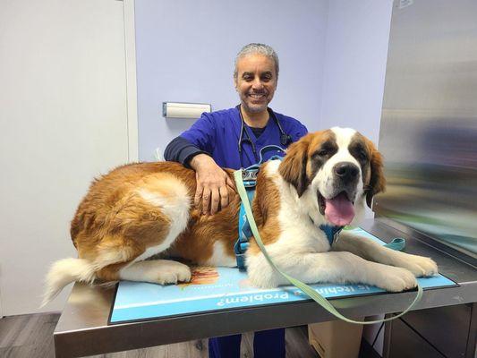 Howard County Animal Hospital