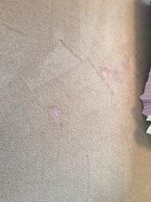 Always Green Carpet Cleaning