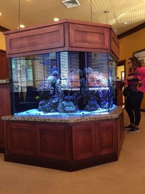 Endodontic Associates