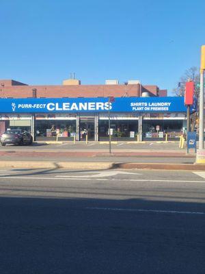 Purr-Fect Cleaners of Laurelton