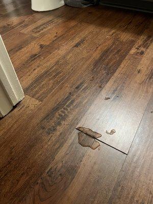 Water under floorboards