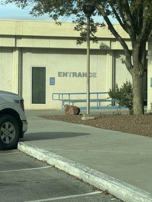 North Las Vegas Records Division