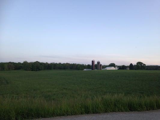 Memory Lane Wedding Rentals