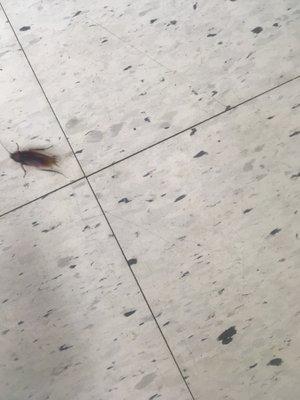 Commonwealth Crossing Apartments