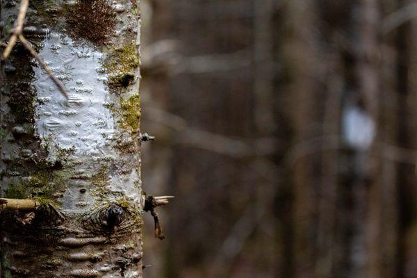 Hunter Cove Wildlife Sanctuary