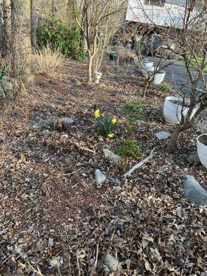 Mountain Maintenace & Renovations