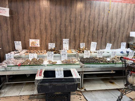 Lotsa Seafood 7-19-2025