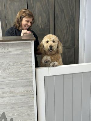 Luvpupps Dog Grooming