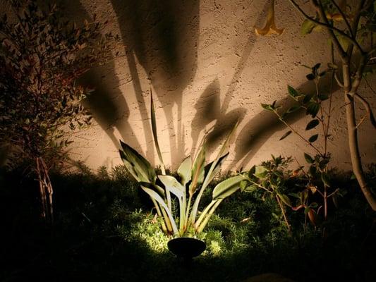 Landscape Illumination