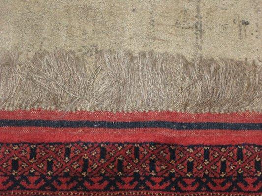 Coast Oriental Rugs