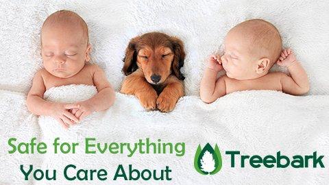 Treebark Termite and Pest Control