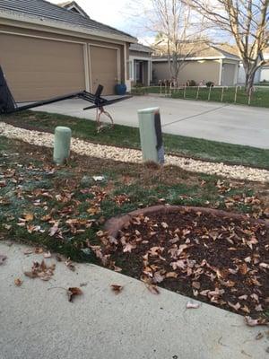 First Choice Lawn Care