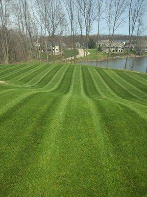 Woods Landscape Maintenance