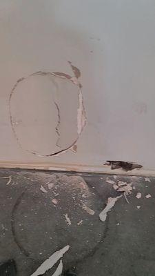 Total Home Care Service