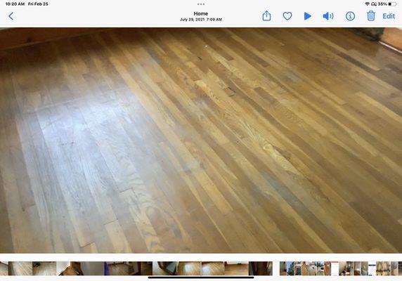Greg's Floor Sanding