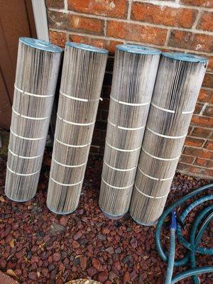 Texas Teal Pool Services