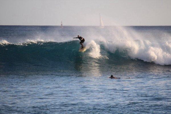 Big Wave Dave's Quesadillas
