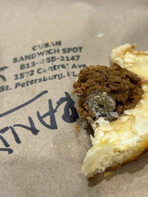 MOLDY BEEF FILLED PASTRY
