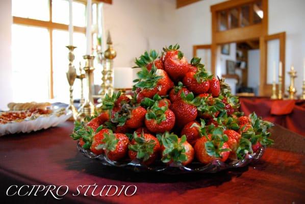 CCIPRO Studio
