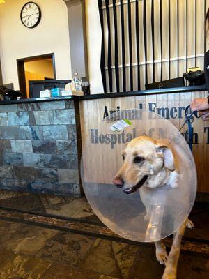 Creekside Animal Hospital