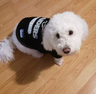 Alfa Mobile Dog Wash