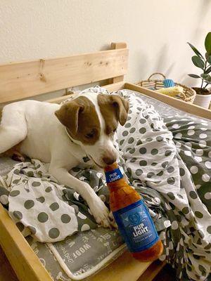 Cherokee Veterinary Hospital