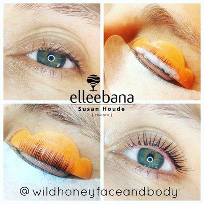 Wild Honey Face & Body Suite