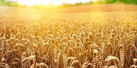 Earnest Well Drilling Inc.