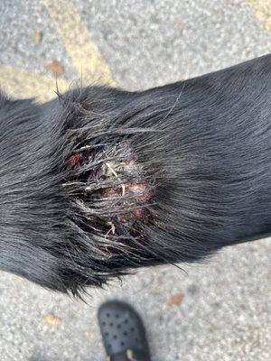 Was turned away at 4:30 (1 hour before close). Called all day for an appointment and the phone would just ring non stop.