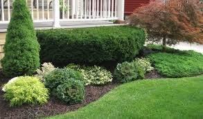 Cutting Edge Lawn & Landscaping