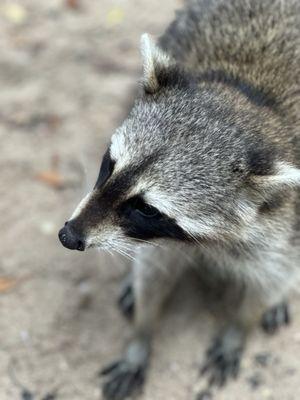 Ocean Force Adventures