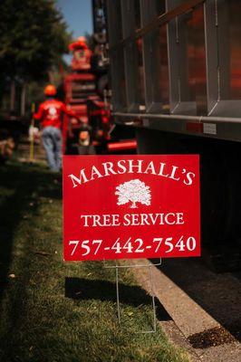 Marshall's Tree Service