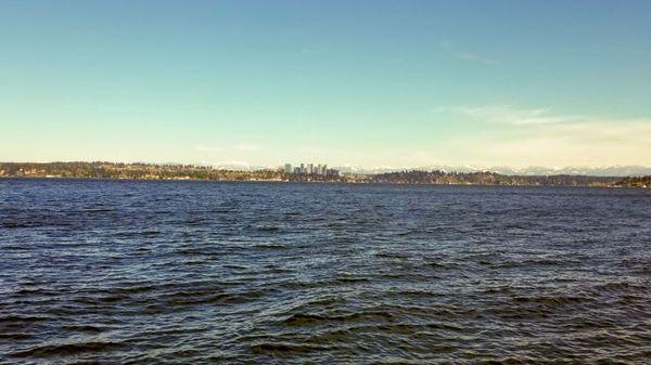 Leschi Park