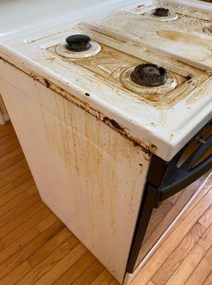 Iris House Cleaning Service