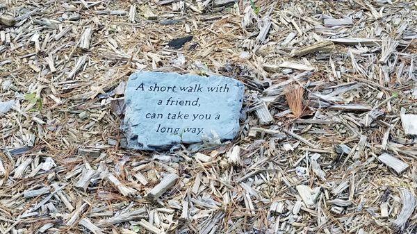 Backyard rock message.