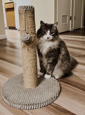 Aragon Veterinary Clinic